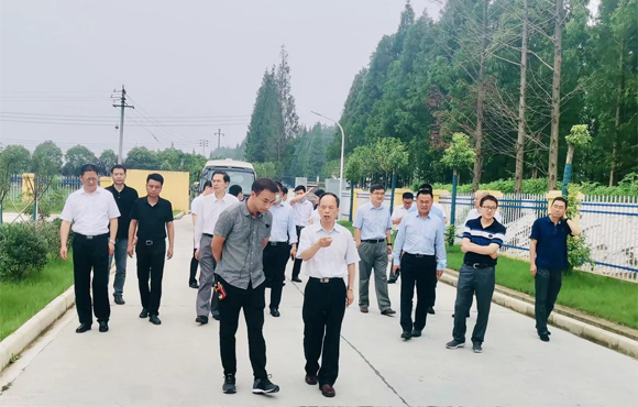 6731顶级游戏·(中国区)官方网站