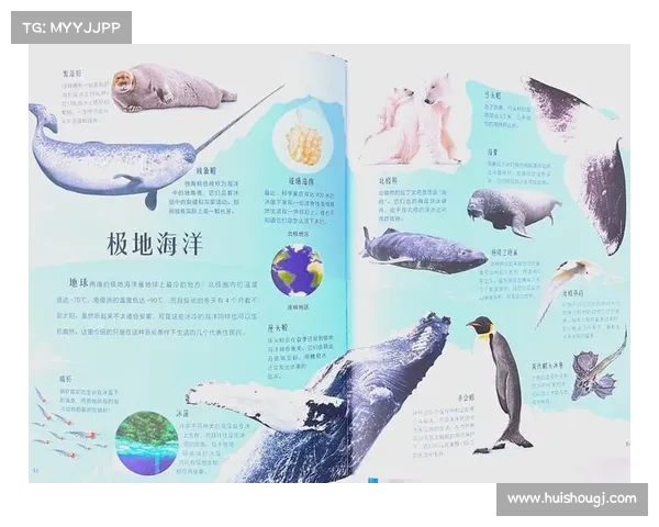 深入探索水下王国的调查技巧与方法解析 深入探索水下王国的调查技巧与方法解析